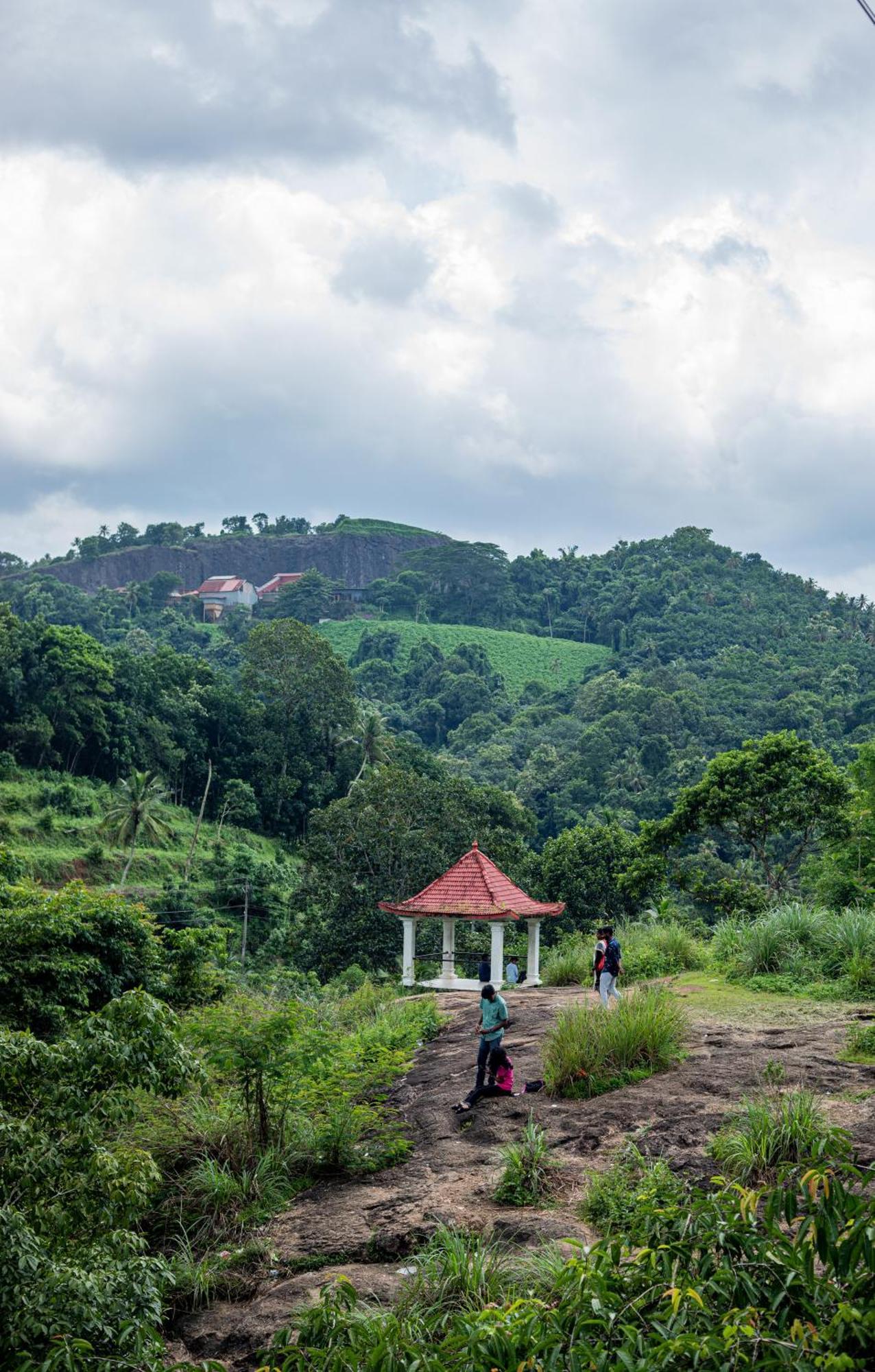 Aruvikuzhy Waterfalls Villa Kozhancheri 外观 照片