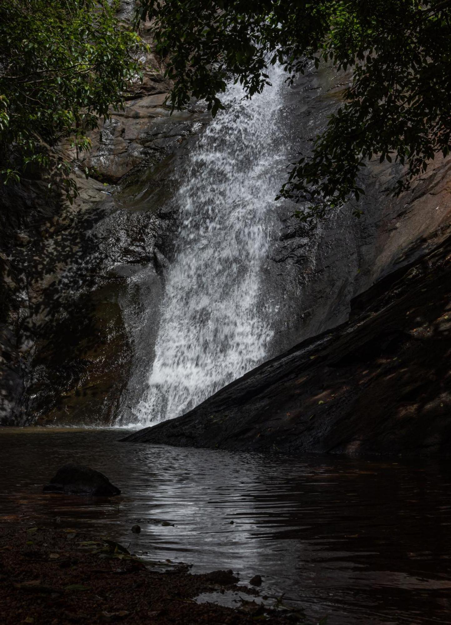 Aruvikuzhy Waterfalls Villa Kozhancheri 外观 照片